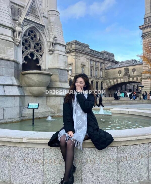 Bufanda LOUIS VUITTON