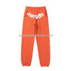 Sp5der Pants - Naranja