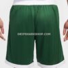 dbbcae4d NK TECH SHORTS - Verde