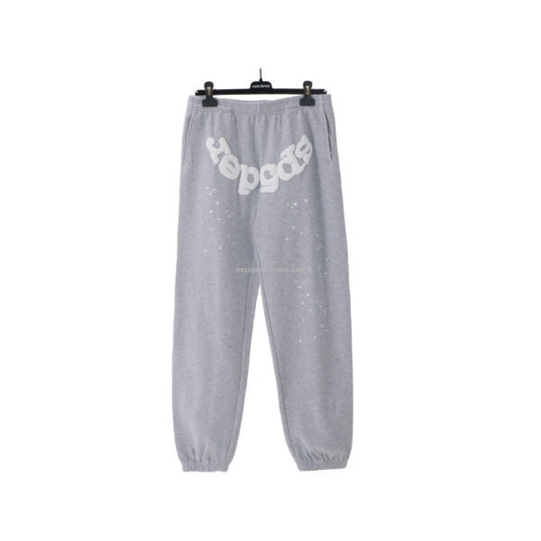 Sp5der Pants - Gris