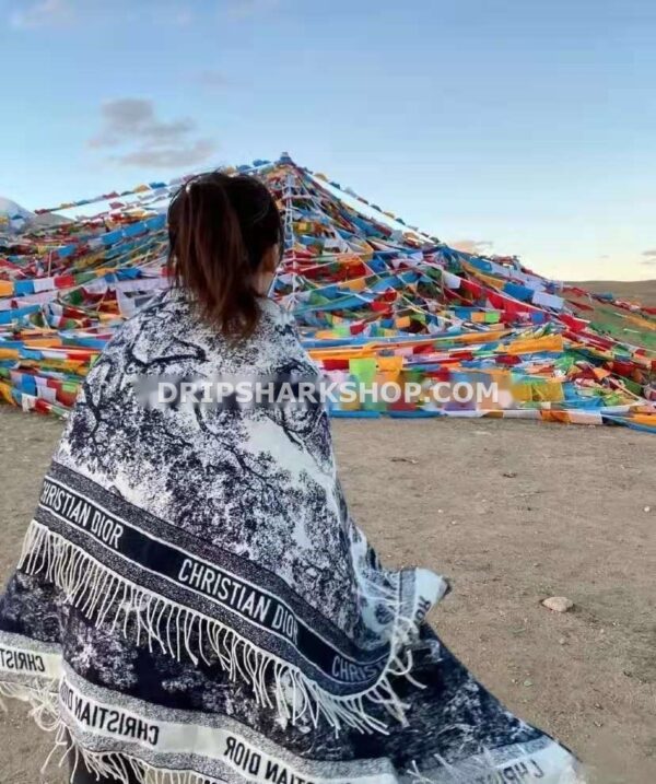 eb733d0e Bufanda DIOR