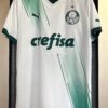 Camiseta visitante Palmeiras 23/24