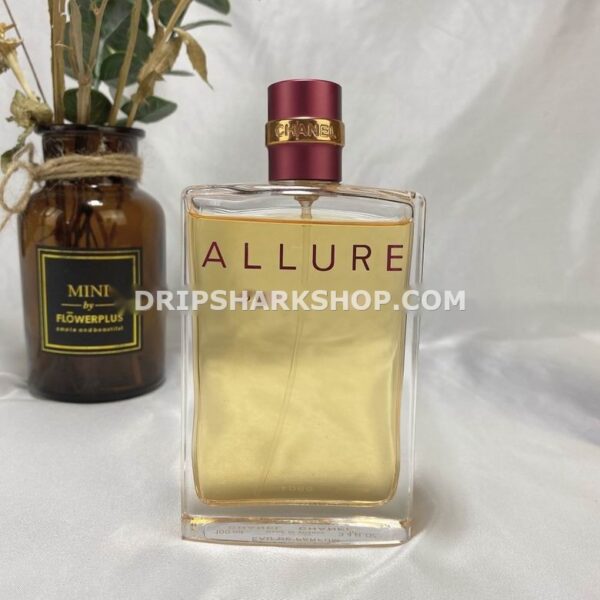 Chanel-Women-100ml-2_3021710 Perfume Chanel Women 100 ml