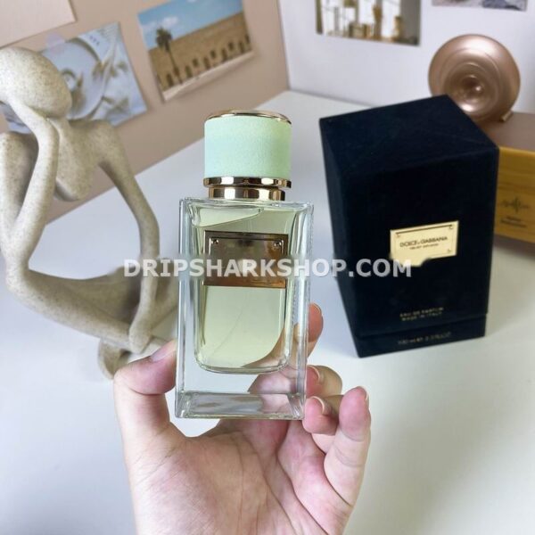 Perfume Dolce & Gabbana 100 ml