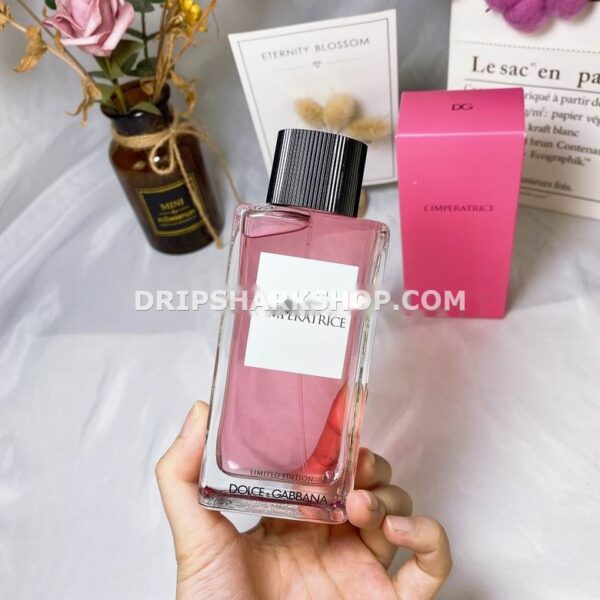 Perfume Dolce & Gabbana 100 ml