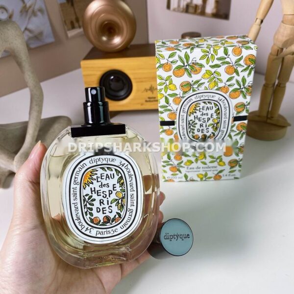 Perfume Diptyque 100 ml