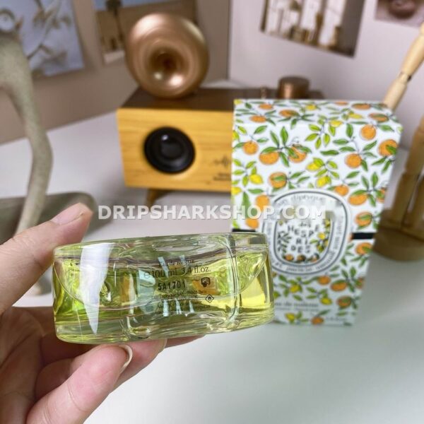 Perfume Diptyque 100 ml