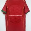 Camiseta local Portugal 2004-2005