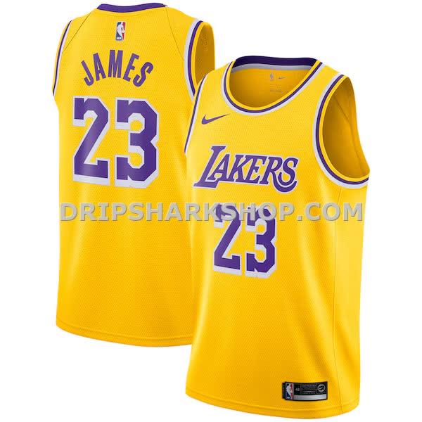 Mens Nike Lebron James Gold Los Angeles Lakers Swingman Player Jersey Icon Edition_Pi3212000