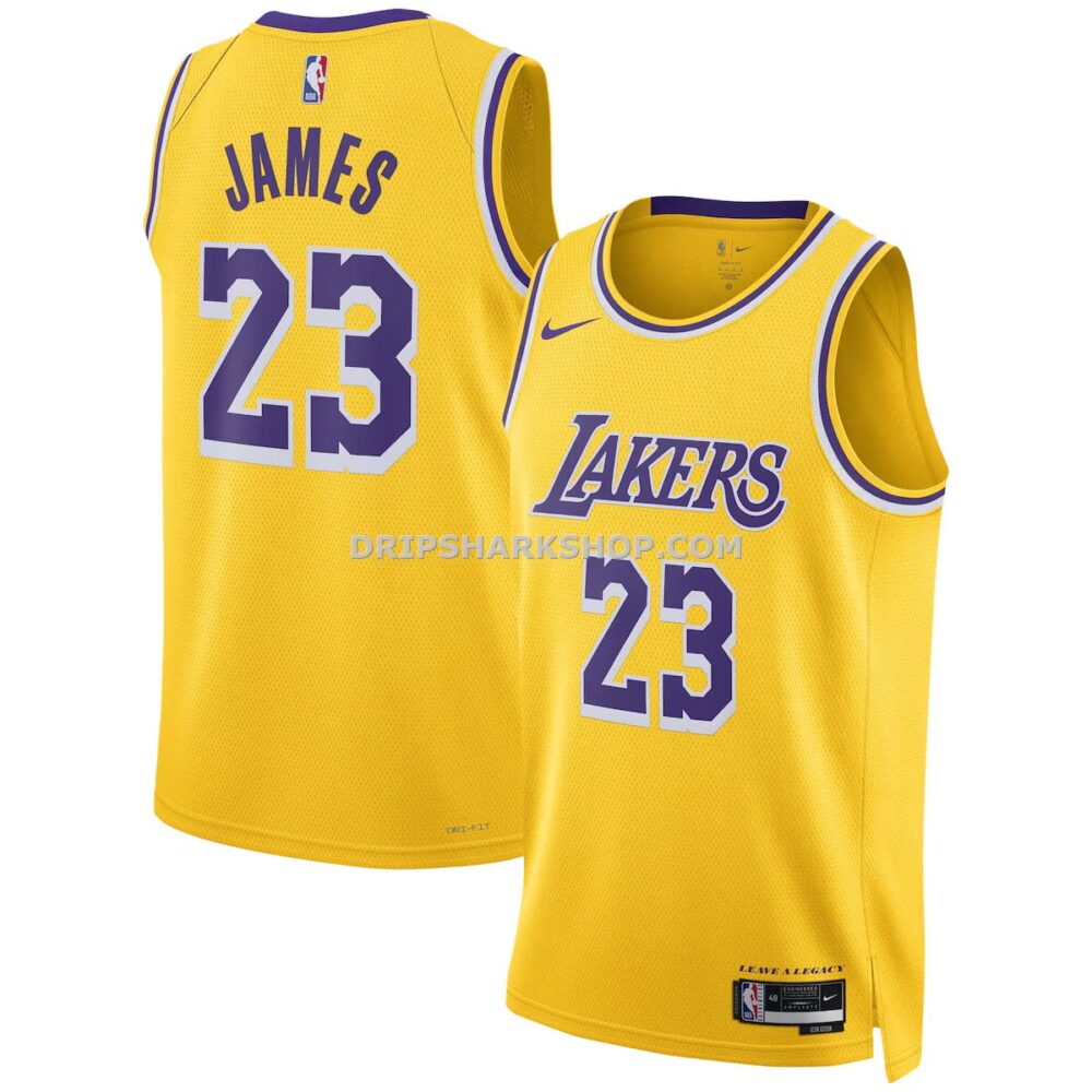 Unisex Nike Lebron James Gold Los Angeles Lakers Swingman Jersey Icon Edition