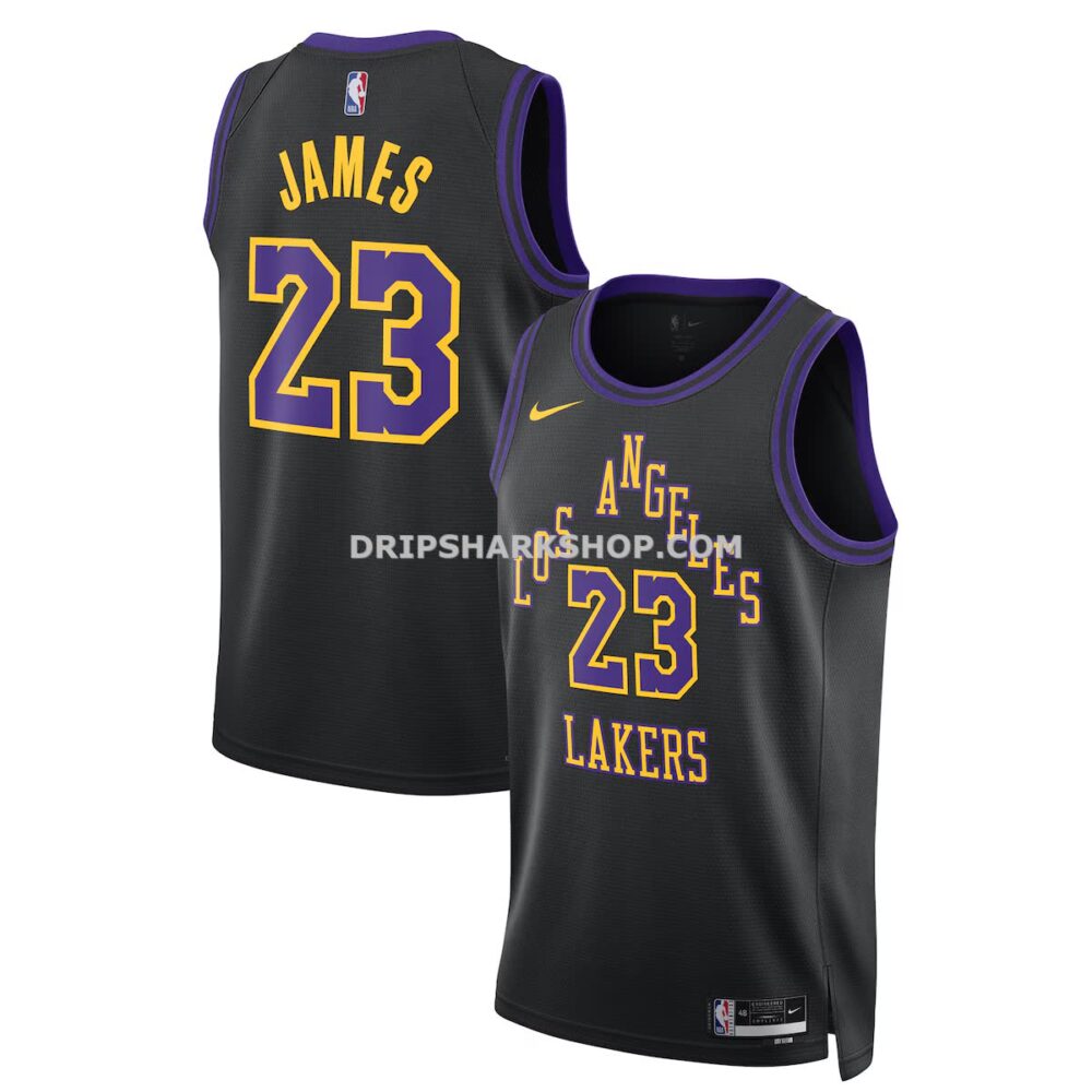Unisex Nike Lebron James Black Los Angeles Lakers 2025 26 Swingman Jersey City Edition