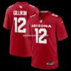 Mens Nike Blake Gillikin Cardinal Arizona Cardinals Team Game Jersey
