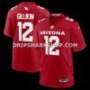 Mens Nike Blake Gillikin Cardinal Arizona Cardinals Team Game Jersey