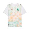 Camiseta Mundial 2026 Costa de Marfil Visitante