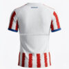 Camiseta Mundial 2026 Paraguay Local