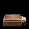 Bolso Louis V de mano