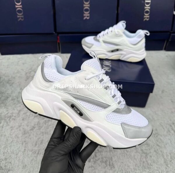 DIOR B22 Gris y blanco ‘REFLECTIVE’