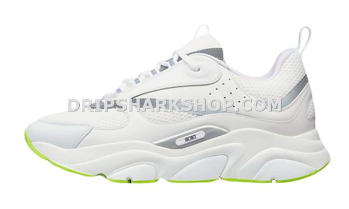 DIOR B22