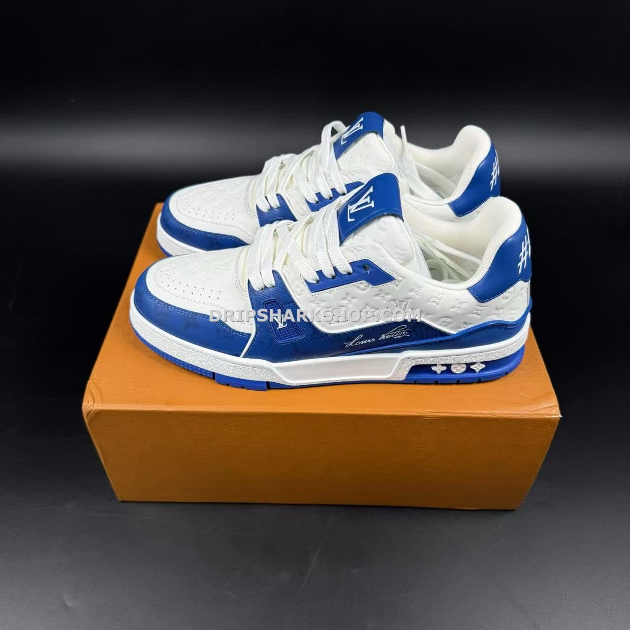 LV Trainer - Imagen 9