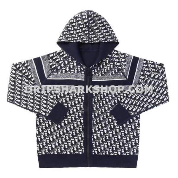HOODIE DIOR