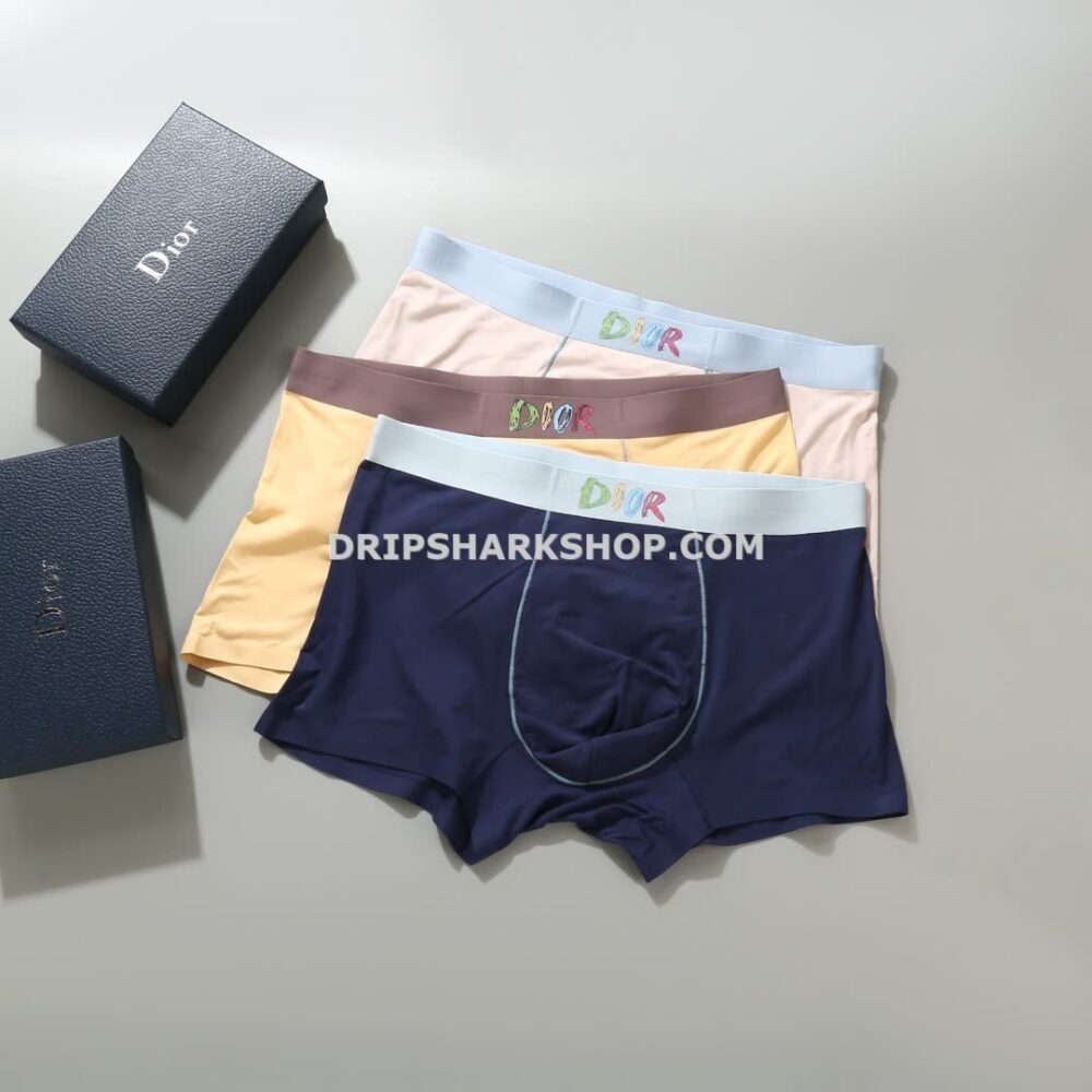Ropa Interior Dior