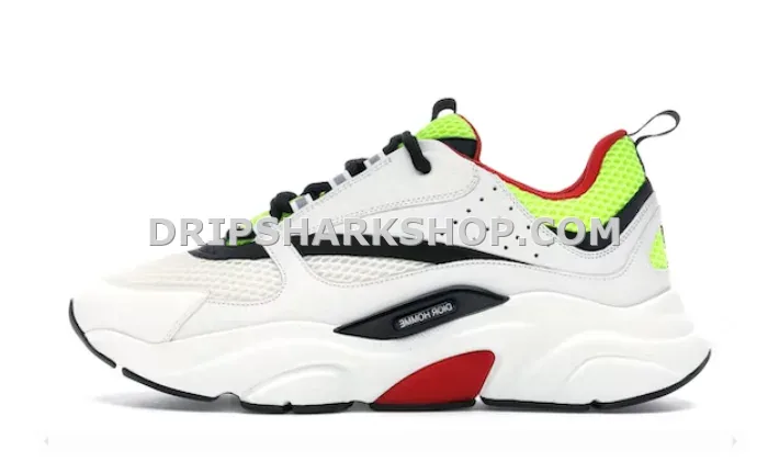 DIOR B22