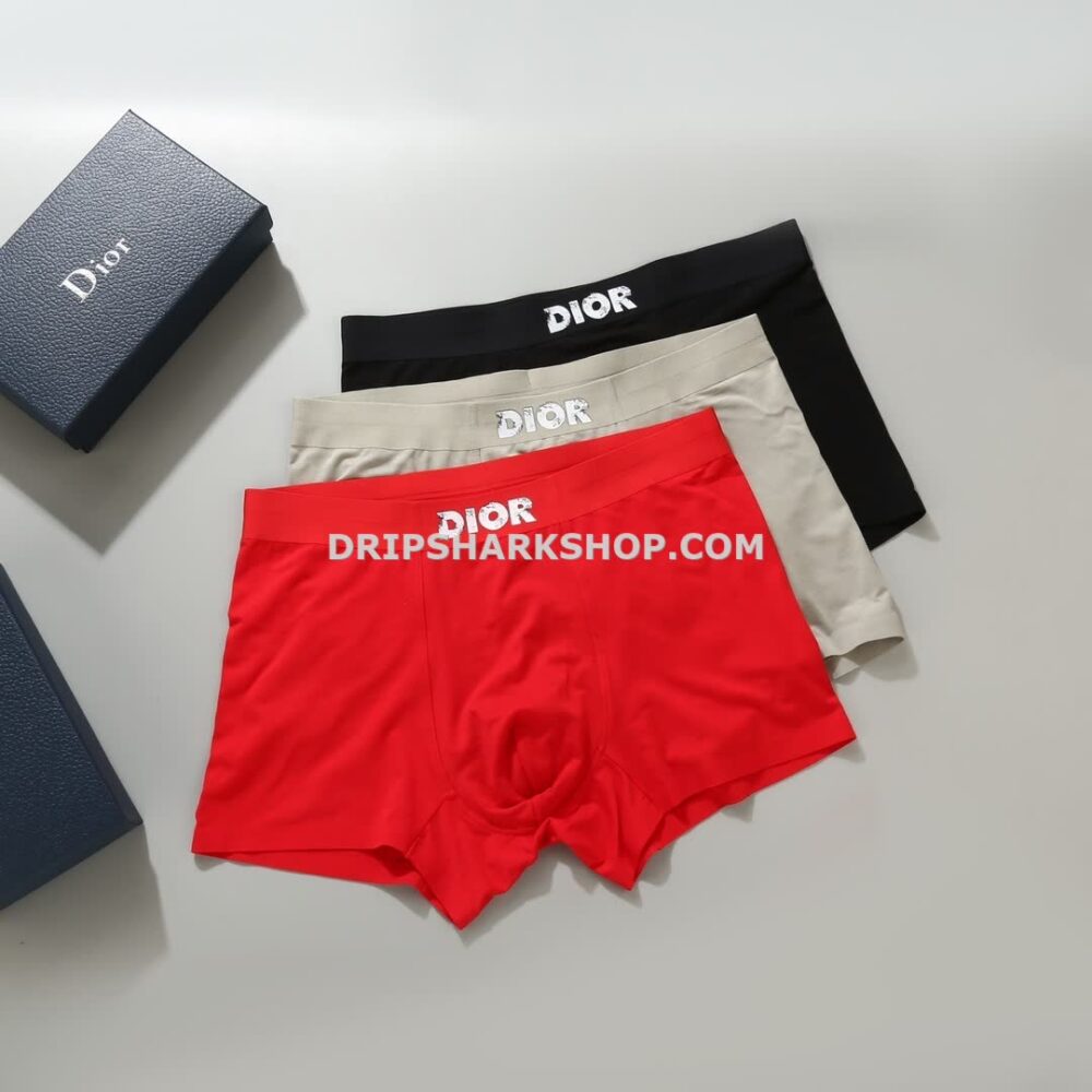 Ropa Interior Dior