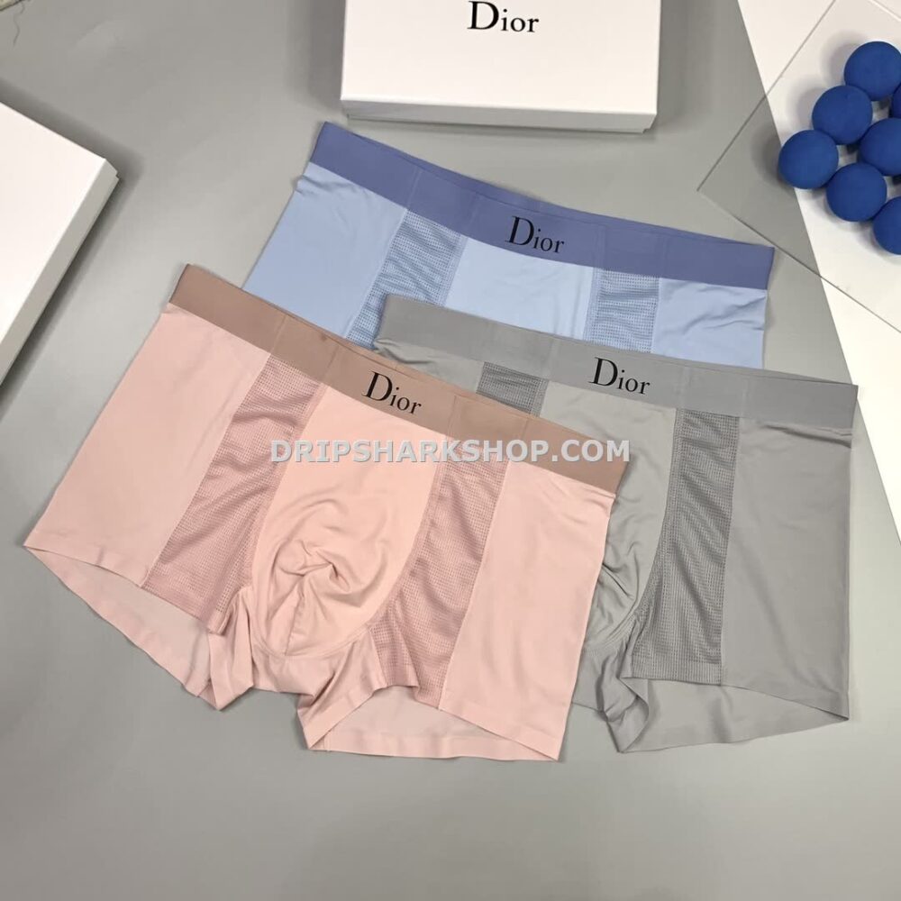 Ropa Interior Dior