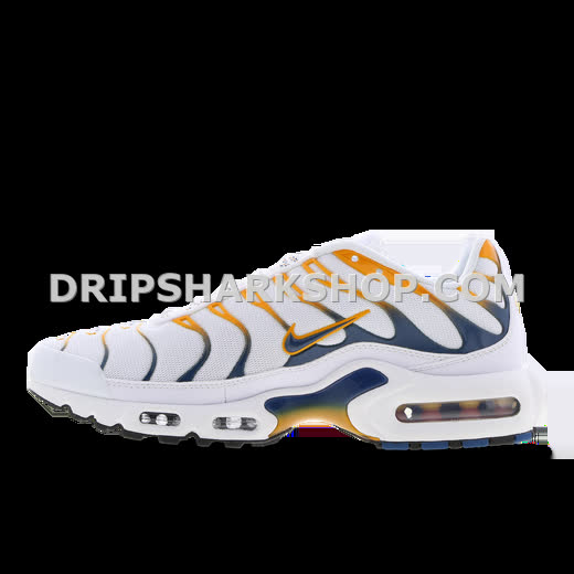 AIR MAX PLUS TN 1