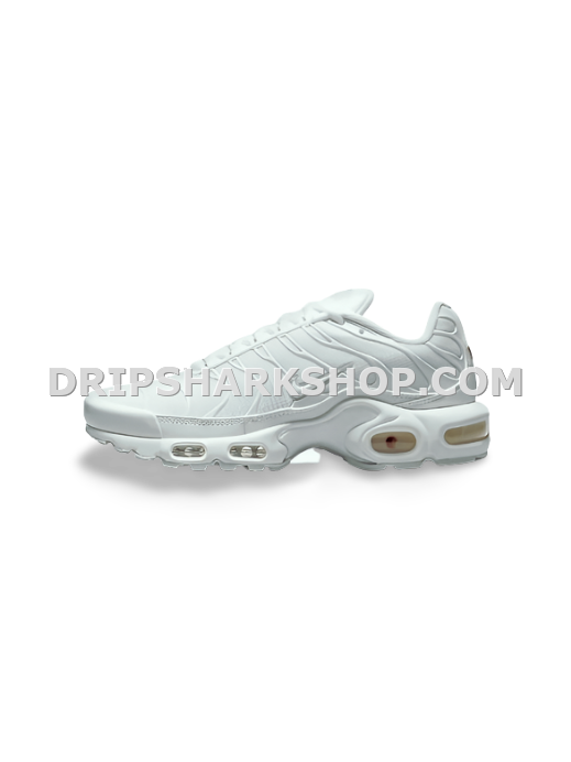 AIR MAX PLUS TN 1