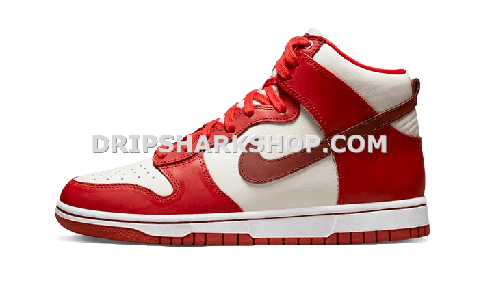 DUNK HIGH