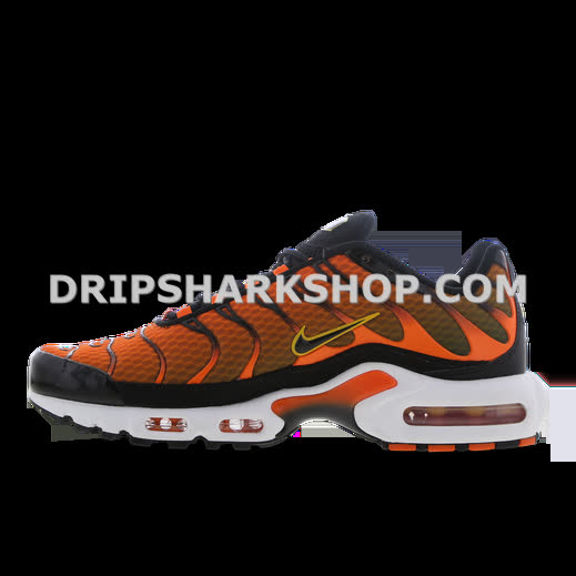 AIR MAX PLUS TN 1