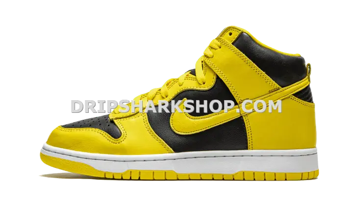 DUNK HIGH