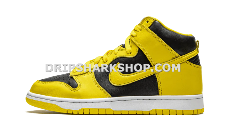 DUNK HIGH